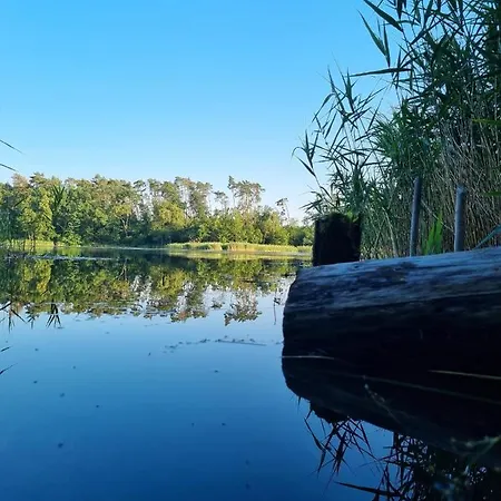 بيت ريفي Drogorad Restauracja I Mielno (Gniezno)