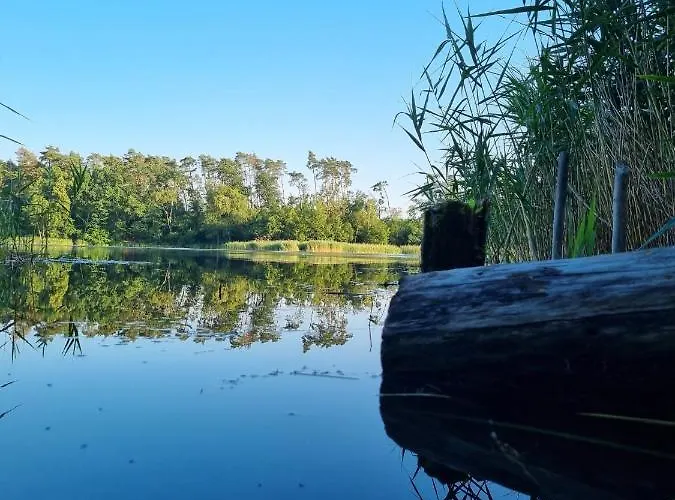 Inn Drogorad Restauracja I Mielno (Gniezno)