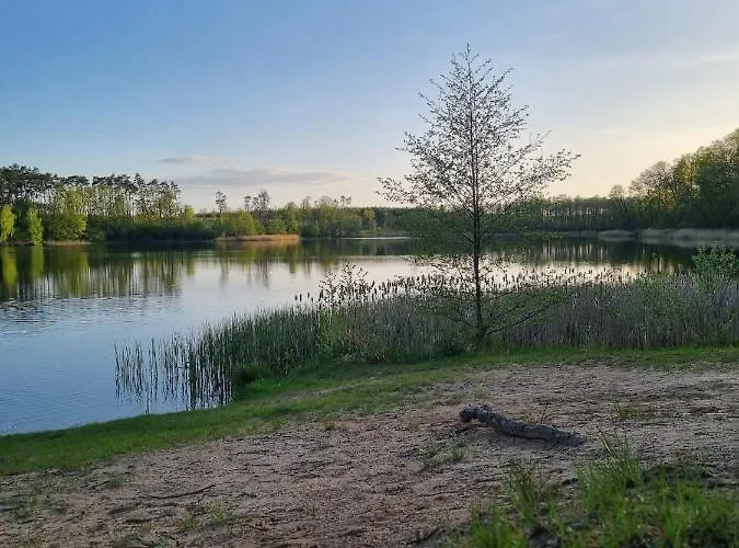 Drogorad Restauracja I Mielno (Gniezno)